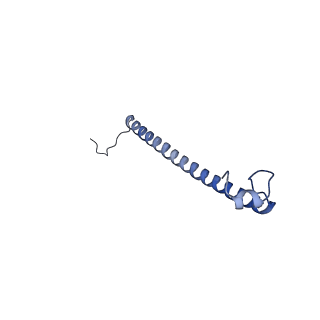11845_7aoi_BU_v1-2
Trypanosoma brucei mitochondrial ribosome large subunit assembly intermediate