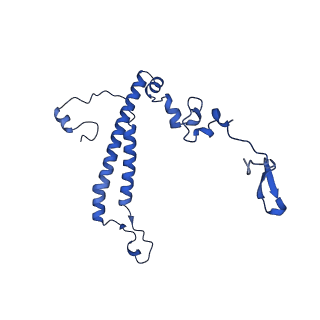 11845_7aoi_BW_v1-2
Trypanosoma brucei mitochondrial ribosome large subunit assembly intermediate