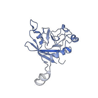 11845_7aoi_BZ_v1-2
Trypanosoma brucei mitochondrial ribosome large subunit assembly intermediate