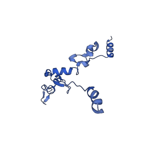 11845_7aoi_Ba_v1-2
Trypanosoma brucei mitochondrial ribosome large subunit assembly intermediate