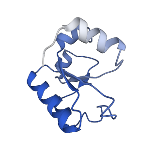 11845_7aoi_Bb_v1-2
Trypanosoma brucei mitochondrial ribosome large subunit assembly intermediate