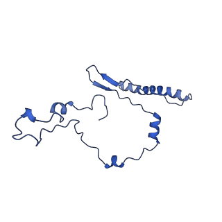 11845_7aoi_Bc_v1-2
Trypanosoma brucei mitochondrial ribosome large subunit assembly intermediate