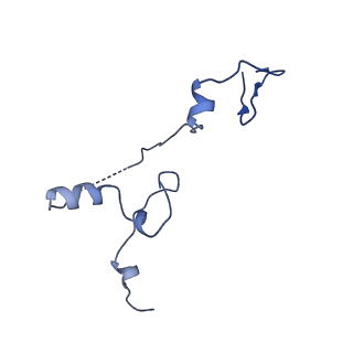 11845_7aoi_Bf_v1-2
Trypanosoma brucei mitochondrial ribosome large subunit assembly intermediate