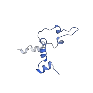 11845_7aoi_Bg_v1-2
Trypanosoma brucei mitochondrial ribosome large subunit assembly intermediate