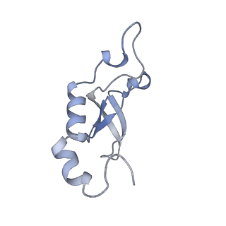 11845_7aoi_Bh_v1-2
Trypanosoma brucei mitochondrial ribosome large subunit assembly intermediate