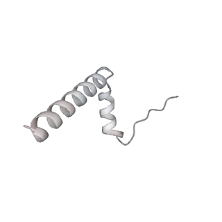 11845_7aoi_UA_v1-2
Trypanosoma brucei mitochondrial ribosome large subunit assembly intermediate