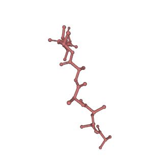 11845_7aoi_UB_v1-2
Trypanosoma brucei mitochondrial ribosome large subunit assembly intermediate
