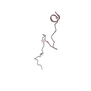 11845_7aoi_UI_v1-2
Trypanosoma brucei mitochondrial ribosome large subunit assembly intermediate