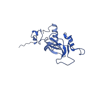 11845_7aoi_XA_v1-2
Trypanosoma brucei mitochondrial ribosome large subunit assembly intermediate