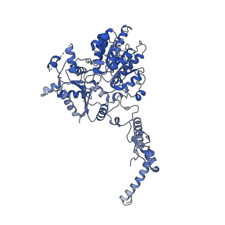 11845_7aoi_XB_v1-2
Trypanosoma brucei mitochondrial ribosome large subunit assembly intermediate