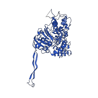11845_7aoi_XC_v1-2
Trypanosoma brucei mitochondrial ribosome large subunit assembly intermediate