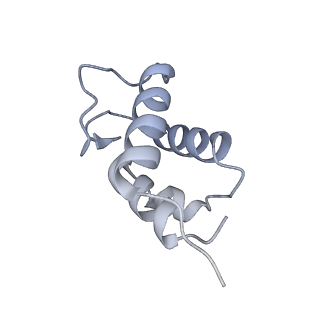 11845_7aoi_XD_v1-2
Trypanosoma brucei mitochondrial ribosome large subunit assembly intermediate