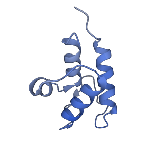 11845_7aoi_XE_v1-2
Trypanosoma brucei mitochondrial ribosome large subunit assembly intermediate