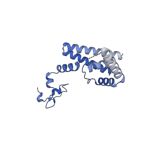 11845_7aoi_XF_v1-2
Trypanosoma brucei mitochondrial ribosome large subunit assembly intermediate
