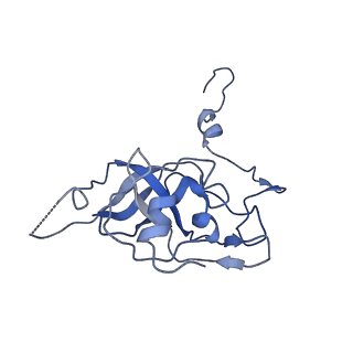 11845_7aoi_XG_v1-2
Trypanosoma brucei mitochondrial ribosome large subunit assembly intermediate