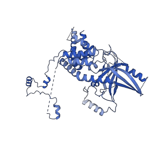11845_7aoi_XH_v1-2
Trypanosoma brucei mitochondrial ribosome large subunit assembly intermediate