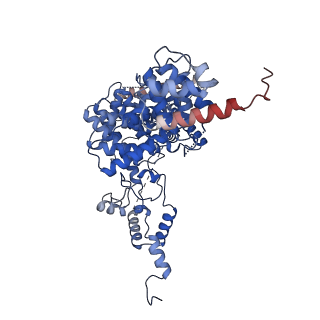 11845_7aoi_XI_v1-2
Trypanosoma brucei mitochondrial ribosome large subunit assembly intermediate