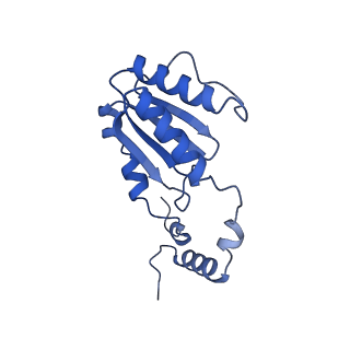 11845_7aoi_XJ_v1-2
Trypanosoma brucei mitochondrial ribosome large subunit assembly intermediate