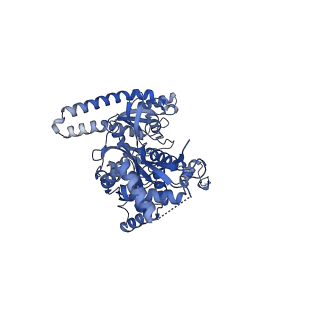 11845_7aoi_XL_v1-2
Trypanosoma brucei mitochondrial ribosome large subunit assembly intermediate