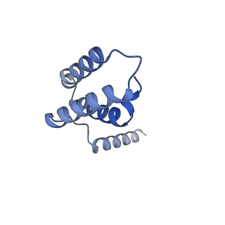 11845_7aoi_XM_v1-2
Trypanosoma brucei mitochondrial ribosome large subunit assembly intermediate