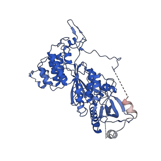 11845_7aoi_XN_v1-2
Trypanosoma brucei mitochondrial ribosome large subunit assembly intermediate