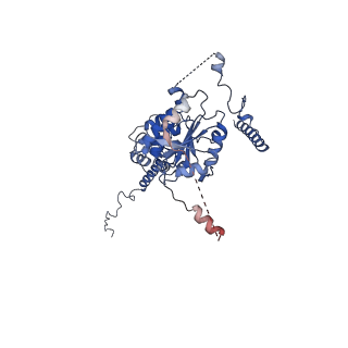 11845_7aoi_XO_v1-2
Trypanosoma brucei mitochondrial ribosome large subunit assembly intermediate