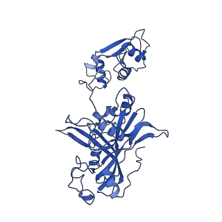 11845_7aoi_XP_v1-2
Trypanosoma brucei mitochondrial ribosome large subunit assembly intermediate
