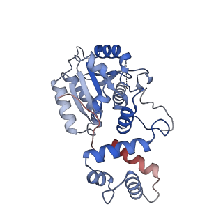 11845_7aoi_XQ_v1-2
Trypanosoma brucei mitochondrial ribosome large subunit assembly intermediate