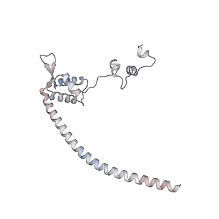 11845_7aoi_XS_v1-2
Trypanosoma brucei mitochondrial ribosome large subunit assembly intermediate