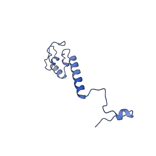 11845_7aoi_XT_v1-2
Trypanosoma brucei mitochondrial ribosome large subunit assembly intermediate