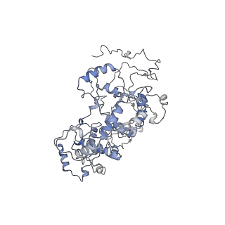 11846_7aor_Ca_v1-0
mt-SSU from Trypanosoma cruzi in complex with mt-IF-3.