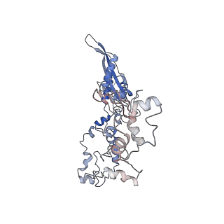 11846_7aor_a_v1-0
mt-SSU from Trypanosoma cruzi in complex with mt-IF-3.