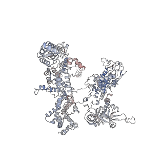 11846_7aor_aa_v1-0
mt-SSU from Trypanosoma cruzi in complex with mt-IF-3.