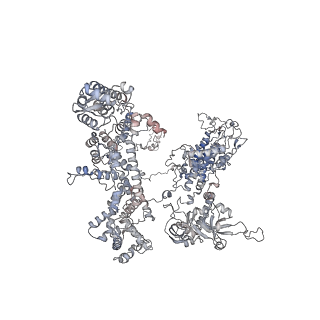 11846_7aor_aa_v2-0
mt-SSU from Trypanosoma cruzi in complex with mt-IF-3.