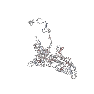 11846_7aor_ab_v1-0
mt-SSU from Trypanosoma cruzi in complex with mt-IF-3.