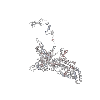 11846_7aor_ab_v2-0
mt-SSU from Trypanosoma cruzi in complex with mt-IF-3.