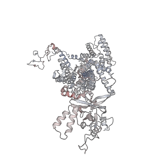 11846_7aor_ac_v1-0
mt-SSU from Trypanosoma cruzi in complex with mt-IF-3.