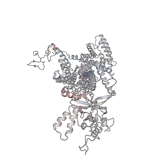 11846_7aor_ac_v2-0
mt-SSU from Trypanosoma cruzi in complex with mt-IF-3.