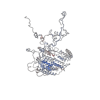 11846_7aor_ad_v1-0
mt-SSU from Trypanosoma cruzi in complex with mt-IF-3.