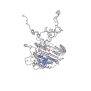 11846_7aor_ad_v2-0
mt-SSU from Trypanosoma cruzi in complex with mt-IF-3.