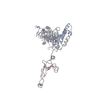 11846_7aor_ae_v1-0
mt-SSU from Trypanosoma cruzi in complex with mt-IF-3.