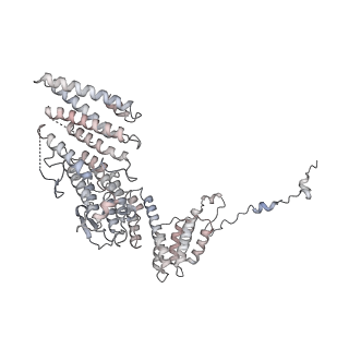 11846_7aor_af_v1-0
mt-SSU from Trypanosoma cruzi in complex with mt-IF-3.