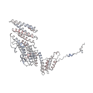 11846_7aor_af_v2-0
mt-SSU from Trypanosoma cruzi in complex with mt-IF-3.