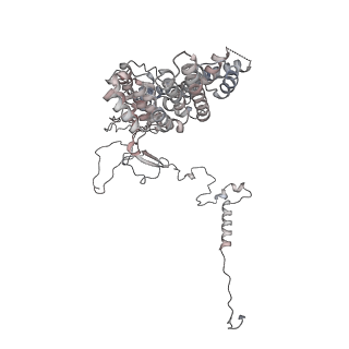 11846_7aor_ag_v1-0
mt-SSU from Trypanosoma cruzi in complex with mt-IF-3.