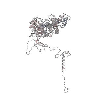 11846_7aor_ag_v2-0
mt-SSU from Trypanosoma cruzi in complex with mt-IF-3.