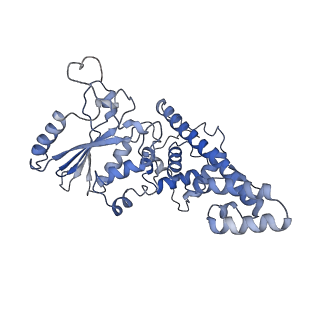 11846_7aor_ai_v1-0
mt-SSU from Trypanosoma cruzi in complex with mt-IF-3.
