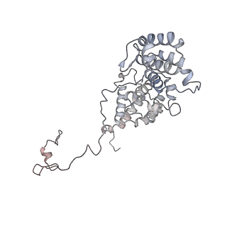 11846_7aor_aj_v1-0
mt-SSU from Trypanosoma cruzi in complex with mt-IF-3.