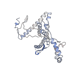 11846_7aor_an_v1-0
mt-SSU from Trypanosoma cruzi in complex with mt-IF-3.