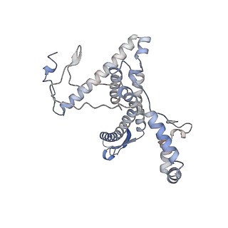 11846_7aor_an_v2-0
mt-SSU from Trypanosoma cruzi in complex with mt-IF-3.