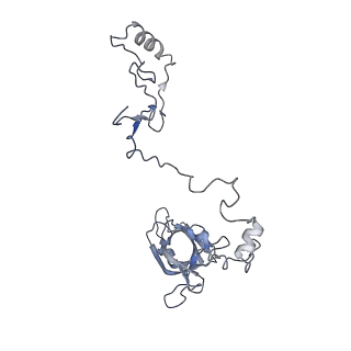 11846_7aor_ao_v1-0
mt-SSU from Trypanosoma cruzi in complex with mt-IF-3.